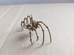 geschilderde Otherworld Huge Spider (WE10), Gebruikt, Figuurtje(s), Overige soorten, Ophalen of Verzenden