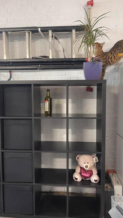 Ikea Kallax kasten + 8 gratis DRÖNA opbergdozen, Huis en Inrichting, Kasten | Boekenkasten, Gebruikt, 100 tot 150 cm, 100 tot 150 cm