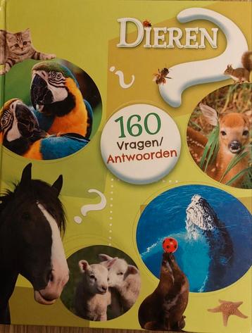 Meer dan 160 vragen en antwoorden: dieren beschikbaar voor biedingen