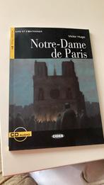 Notre-Dame de Paris, Ophalen of Verzenden, Zo goed als nieuw