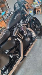 Harley Davidson 883 Strijkijzer, Motoren, Motoren | Harley-Davidson, 2 cilinders, Particulier, Meer dan 35 kW, Overig