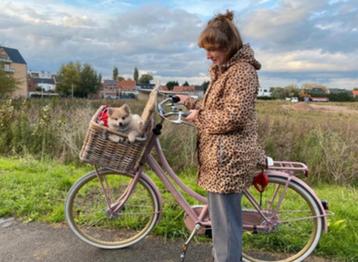 Cortina U4  – roze parel met mand – 3 versnellingen beschikbaar voor biedingen