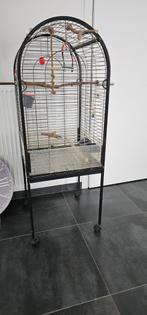 Cage pour perroquet et perruche, Animaux & Accessoires, Enlèvement ou Envoi, Comme neuf