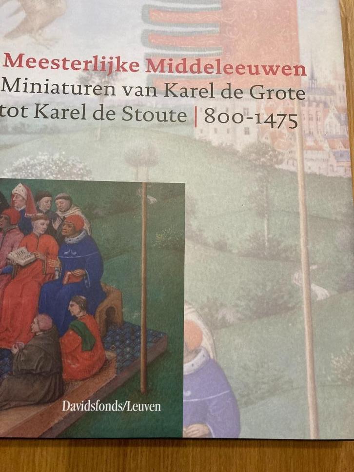 Meesterlijke Middeleeuwen Miniaturen van Karel de Grote tot, Boeken, Kunst en Cultuur | Beeldend, Nieuw, Schilder- en Tekenkunst