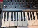 Modal argon 8, Muziek en Instrumenten, Ophalen, Gebruikt, Overige merken, Met midi-aansluiting