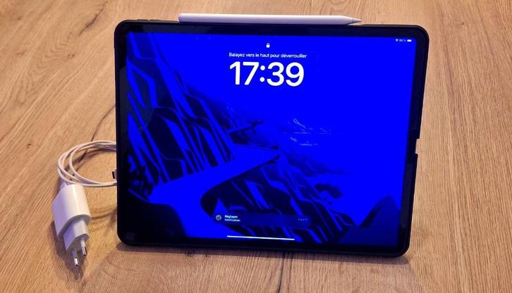 iPad Pro 12,9" (6ᵉ génération) 256 Go, Computers en Software, Apple iPads, Zo goed als nieuw, Apple iPad Pro, Wi-Fi, 12 inch, 256 GB