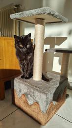 Krabpaal te koop, Dieren en Toebehoren, Ophalen, Krabpaal