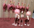 flamingo, Ophalen of Verzenden