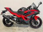 Kawasaki NINJA 500 SE - NIEUW OP STOCK (bj 2025), Bedrijf, 451 cc, Overig, 12 t/m 35 kW