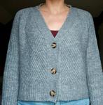 Gebreide grijze vest Twintip. Maat M, Kleding | Dames, Ophalen of Verzenden, Zo goed als nieuw, Maat 38/40 (M)