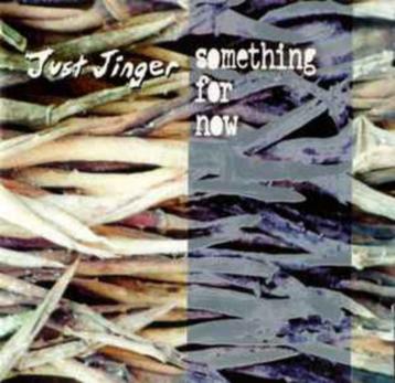 CD- Just Jinger- Something For Now beschikbaar voor biedingen