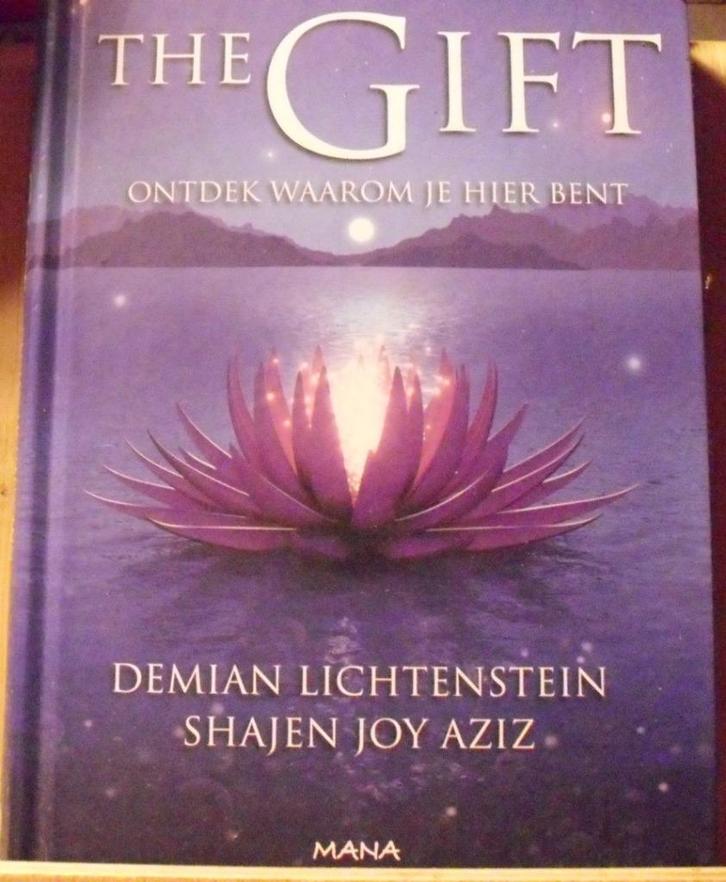 The Gift, Ontdek waarom je hier bent, Demian Lichtenstein, Boeken, Esoterie en Spiritualiteit, Zo goed als nieuw, Verzenden