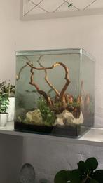 Aquarium 30 liter