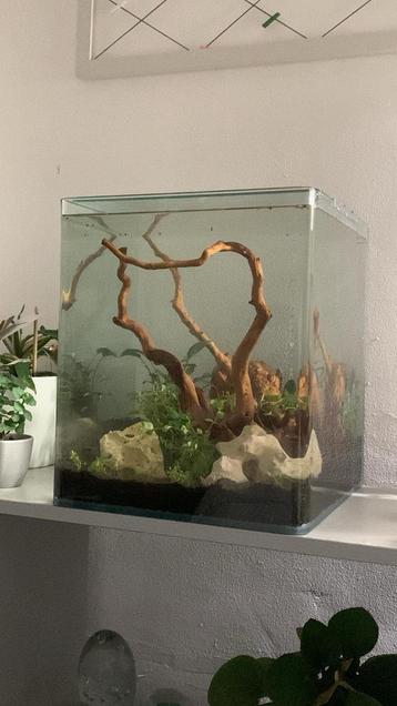 Aquarium 30 liter beschikbaar voor biedingen