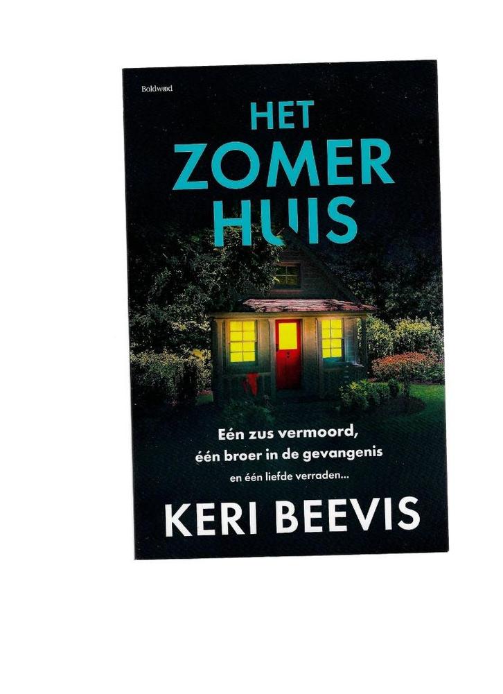Boeken  romans en thrillers, Boeken, Romans, Gelezen, Ophalen of Verzenden