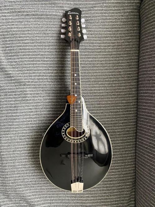 Eastman MD404 - Oval hole mandoline, Muziek en Instrumenten, Snaarinstrumenten | Mandolines, Zo goed als nieuw, Ophalen of Verzenden