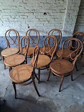 6 ou 8 chaises Thonet originales N20.