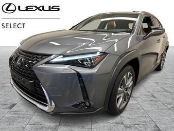 Lexus UX 300e Privilege EV  beschikbaar voor biedingen