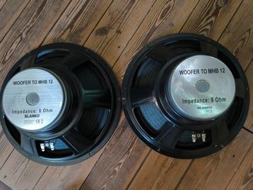 2 woofers. 30 CM  beschikbaar voor biedingen