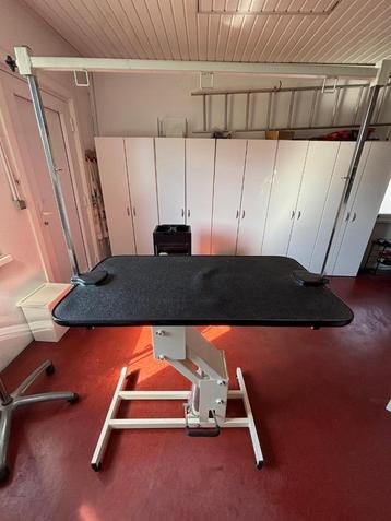 hydraulische hondentrimtafel beschikbaar voor biedingen