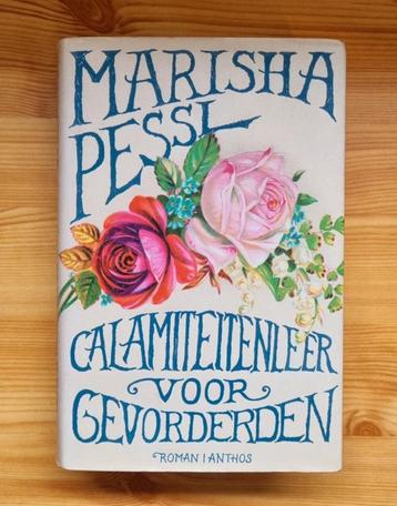 Calamiteitenleer voor gevorderden, boek van Marisha Pessl