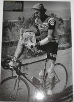 4 grote zwart-wit foto's uit de Tour De France(doos1️⃣6️⃣), Ophalen of Verzenden