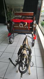 Koets met 2 tuigen, Dieren en Toebehoren, Gebruikt, Wagonette, Paard of Pony