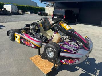 Iame Haase Kart 125CC, Sport en Fitness, Karting, Ophalen, Gebruikt, Kart