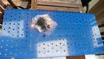 Plaque de fixation outillage, Ophalen, Zo goed als nieuw