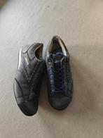 grijze sneakers met blauwe veters dames, Ophalen, Sneakers, Bluehaven, Gedragen