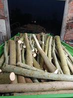 Brandhout, Tuin en Terras, Brandhout, 3 tot 6 m³, Ophalen of Verzenden, Overige houtsoorten, Takken