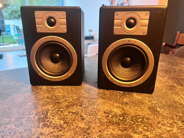 ESI near 05 experience Studio Monitors, Audio, Tv en Foto, Luidsprekerboxen, Zo goed als nieuw, Overige typen, 60 tot 120 watt