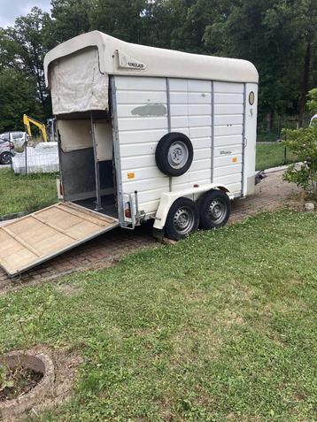 van à vendre, Utilisé, Autres types, Cheval, Fermé(e)