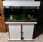 Aquarium 100x 60 x 60 met kast, Dieren en Toebehoren, Vissen | Aquaria en Toebehoren, Ophalen, Gebruikt, Leeg aquarium