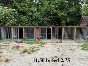 Hondenkennels compleet inclusief dak beschikbaar voor biedingen