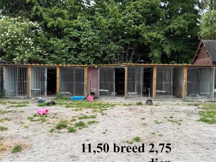 Hondenkennels compleet inclusief dak, Dieren en Toebehoren, Hondenhokken, Zo goed als nieuw, Ophalen
