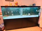 Groot aquarium 2m10x80x70, Dieren en Toebehoren, Ophalen, Zo goed als nieuw
