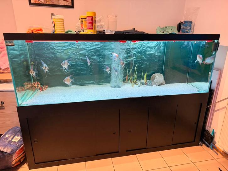 Groot aquarium 2m10x80x70, Dieren en Toebehoren, Vissen | Aquaria en Toebehoren, Zo goed als nieuw, Ophalen