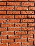 MD50 Brique de parement en écorce de Taxandria, Enlèvement, Neuf