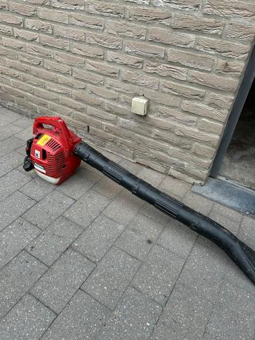 Robin bladblazer beschikbaar voor biedingen