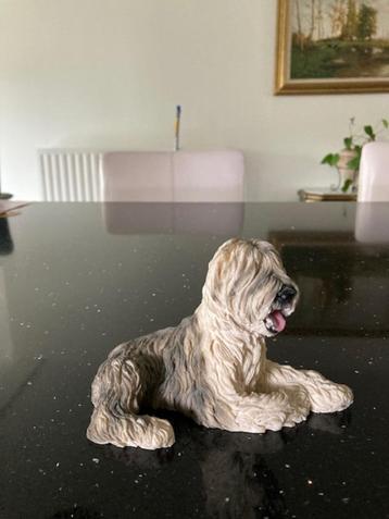 Beedjes honden beschikbaar voor biedingen