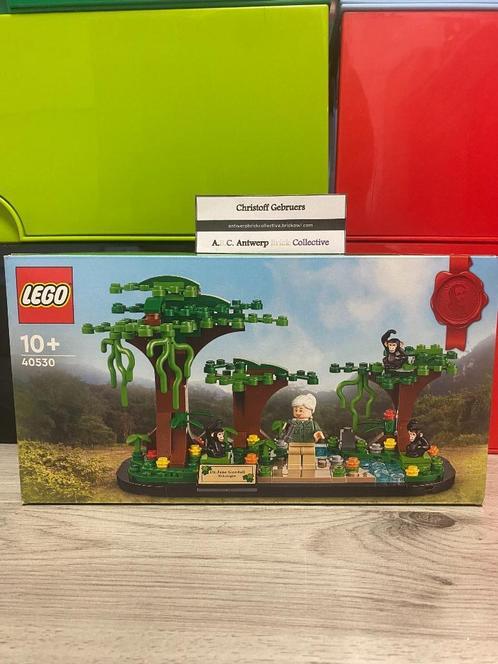 Lego GWP - 40530+40563 - Jane Goodall Tribute + Lego House T, Kinderen en Baby's, Speelgoed | Duplo en Lego, Nieuw, Lego, Complete set