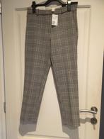 Nieuwe geruite geklede damesbroek Mt: 40, Kleding | Dames, Maat 38/40 (M), H&M, Overige kleuren, Nieuw