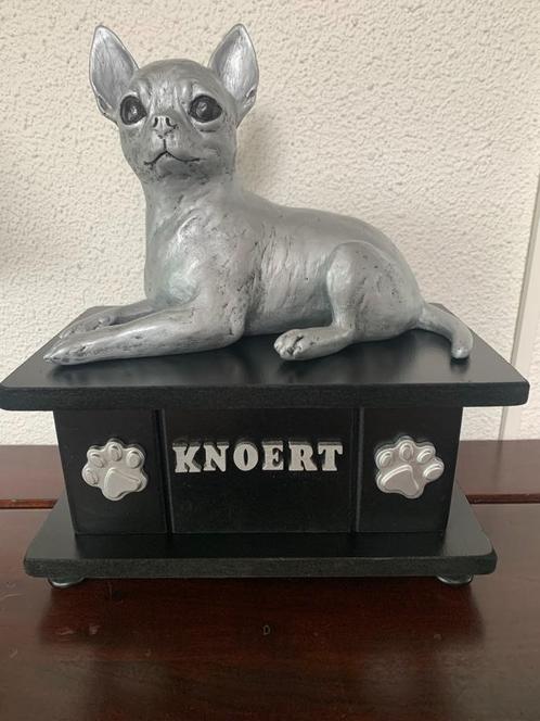 Chihuahua korthaar beeld met kistje als urnen set te koop, Dieren en Toebehoren, Honden-accessoires, Nieuw, Verzenden