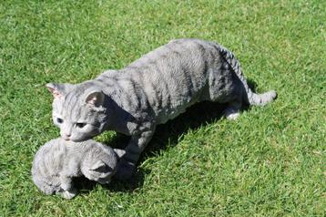 Standbeeld een grijze kat en zijn kleine natuurlijke grootte beschikbaar voor biedingen