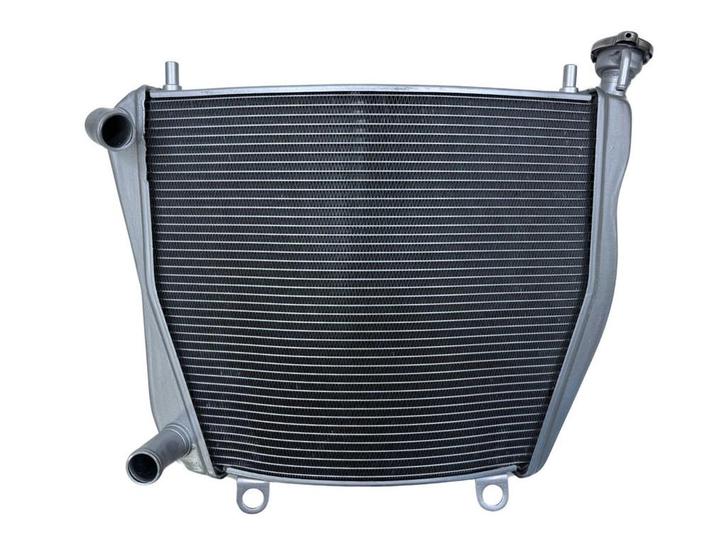RADIATEUR EAU Ducati Panigale V4 2018- (54812531A), Motos, Pièces | Autre, Utilisé