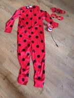 Ladybug verkleedpak, Kinderen en Baby's, Carnavalskleding en Verkleedspullen, Ophalen, Zo goed als nieuw, 122 t/m 128, Meisje