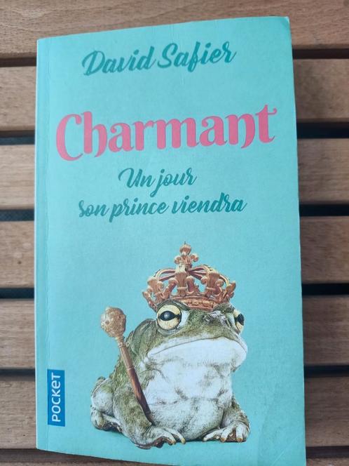 Charmant de David Safier, Boeken, Romans, Gelezen, Ophalen of Verzenden