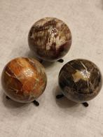 Versteend hout bollen, Verzamelen, Mineralen en Fossielen, Ophalen of Verzenden