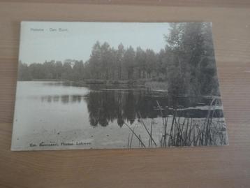 hamme den bunt, Enlèvement ou Envoi, Non affranchie, Flandre Orientale